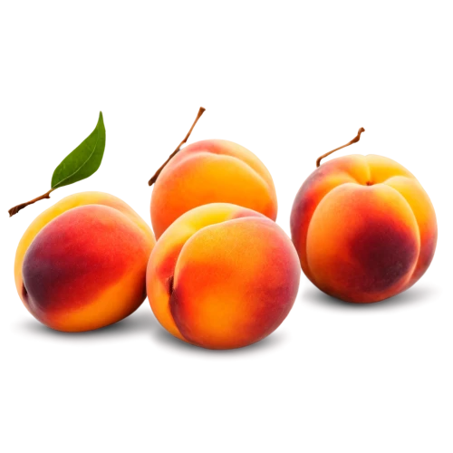 apricots,apricot,nectarines,pluots,persimmons,peaches,mandarins,tangerines,nectarine,peachpit,persimmon,oranges,plums,apricot preserves,peach,vineyard peach,mangos,persimmon tree,tangerine fruits,peach color,Conceptual Art,Daily,Daily 01