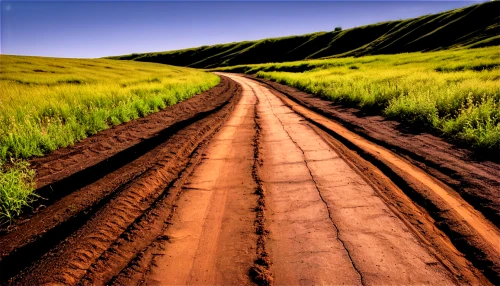 dirt road,tire track,ruts,tire tracks,oil track,palouse,unpaved,wooden track,rolling hills,trail,furrows,collineation,ploughed,asphalt road,trails,painted hills,scablands,soil erosion,singletrack,sand road,Illustration,Realistic Fantasy,Realistic Fantasy 34