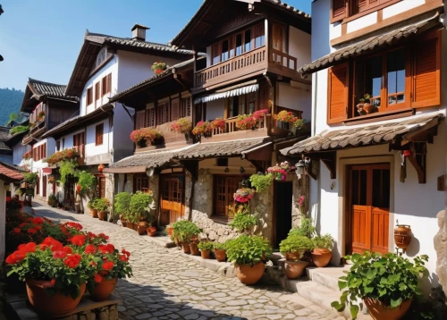 tryavna,alpine village,half-timbered houses,ordino,hallstatt,megeve,courchevel,colmar,verbier,alsace,metsovo,alagna,zermatt,adelboden,escher village,zakopane,monschau,morzine,clervaux,suiza,Illustration,American Style,American Style 05