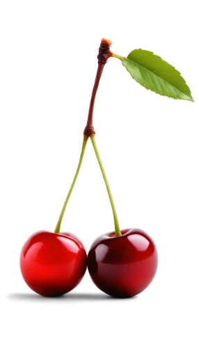 greed,growth icon,red and green,transparent background,red,on a red background,red background,battery icon,background image,wavelength,naturopathy,ayurveda,palmoil,imbalances,cherry branch,speech icon,red fruit,balance,heart cherries,apple icon,Art,Classical Oil Painting,Classical Oil Painting 40