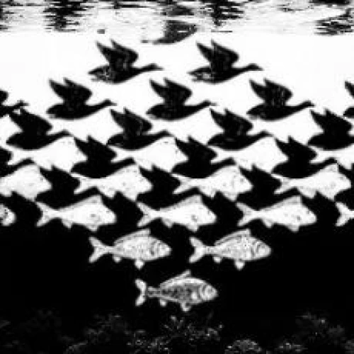 school of fish,flying geese,alewives,gray geese,flock of geese,geese flying,waterfowls,cygnes,fish in water,birds flying,spawning,luftwaffe,migrating,escher,stereograms,flock of birds,stereogram,overfishing,bird migration,flocking