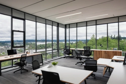 steelcase,oticon,modern office,weyerhaeuser,conference room,board room,gensler,snohetta,bridgepoint,offices,holmboe,daylighting,assay office,creative office,bureaux,forest workplace,ideacentre,ohsu,furnished office,conference table,Illustration,Paper based,Paper Based 10