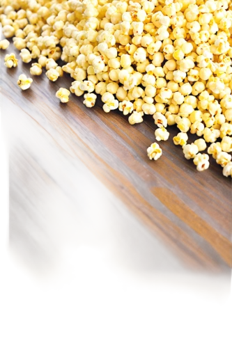 grains,cereal grain,sorghum,kernels,mustard seeds,grain,pop corn,triticum durum,field of cereals,wheat grain,fenugreek,maize,lecithin,oilseeds,foodgrains,spaetzle,soybeans,soybean,cheerios,whole grains,Conceptual Art,Daily,Daily 05