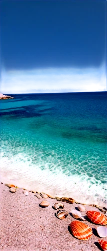 ningaloo,formentera,sardegna,rottnest island,sardinia,beach landscape,chalkidiki,rottnest,arniston,beautiful beach,white sandy beach,dream beach,beautiful beaches,busselton,beach scenery,ionian sea,baja california sur,djerba,white sand beach,cottesloe,Illustration,Abstract Fantasy,Abstract Fantasy 04