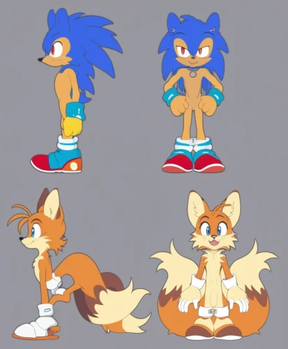 tails,sonics,sonic,turnarounds,hedgehogs,fleetway,reshapes,fusions,hedgehog heads,sonicblue,flats,redesigns,redesign,tenrec,sonicnet,hedgecock,versions,evolutions,fighting poses,hedgehog,Photography,General,Realistic