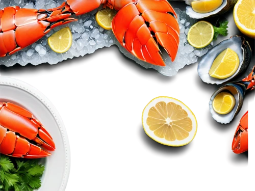 seafoods,sea foods,shellfish,seafood,seafood counter,sea food,crayfish party,crustaceans,freshwater prawns,seafood platter,seafood in sour sauce,snow crab,crustacea,pilselv shrimp,clambake,pescatori,crab soup,derivable,mariscos,crabs,Conceptual Art,Sci-Fi,Sci-Fi 25