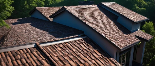 house roofs,roofs,roof landscape,roof tiles,house roof,wooden roof,tiled roof,rooflines,roof,slate roof,roofing,roof panels,metal roof,roofing work,roofed,roof tile,roof structures,the old roof,roof domes,roofline,Photography,Documentary Photography,Documentary Photography 34