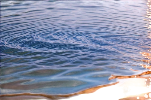 ripples,rippling,rippled,water surface,water waves,surface tension,sand ripples,reflection of the surface of the water,ripple,waterscape,waterline,water scape,wavelets,flowing water,feather on water,waterflow,wavelet,ripple marks,water flow,water splashes,Illustration,Japanese style,Japanese Style 16