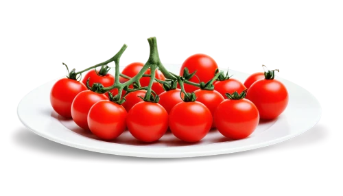 lycopene,pomodoro,cherry tomatoes,tomatis,red tomato,tomato,tomatoes,tomatsu,grape tomatoes,tomatos,plum tomato,roma tomatoes,panicle tomato,vine tomatoes,greed,red bell peppers,roma tomato,romas,wavelength,tomato sauce,Illustration,Realistic Fantasy,Realistic Fantasy 29