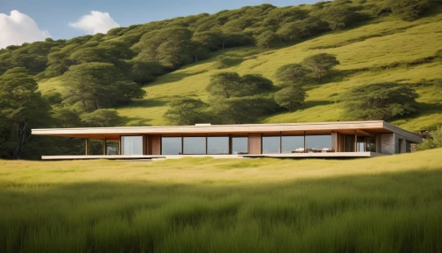 grass roof,dunes house,3d rendering,mid century house,render,modern house,passivhaus,prefab,sketchup,house in the mountains,renders,house in mountains,snohetta,hillside,timber house,home landscape,holiday home,forest house,meadow fescue,revit,Photography,Fashion Photography,Fashion Photography 05