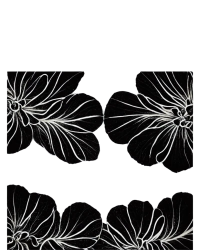 osteocytes,dendrites,chrysanthemum background,neurons,microtubules,dendrimers,dendritic,neuronal,cytoskeletal,hydroids,neurite,synapses,neuron,interneuron,dendrite,interneurons,neurone,hyphae,glia,angiogenic,Photography,Fashion Photography,Fashion Photography 07
