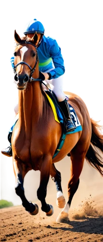 cavalryman,wagiman,paynter,desormeaux,justify,horseracing,thoroughbred arabian,horse and rider cornering at speed,polytrack,masar,galop,racehorse,cantering,gallop,dubawi,lighthorse,rajasinghe,gunrunner,horse running,horse racing,Illustration,Vector,Vector 01