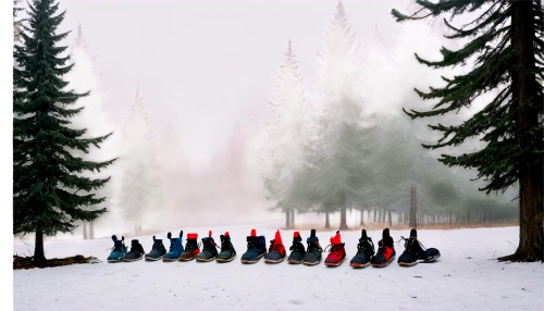 snowshoers,snowshoeing,snowboarders,jahorina,snow scene,carolers,spruce forest,skiiers,sledding,snowbirds,skiers,winter background,snowboards,snow shelter,snowshoe,christmas snowy background,christmas circle,winter trip,carol singers,snowmobilers,Conceptual Art,Oil color,Oil Color 02