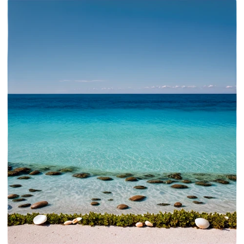 formentera,sardegna,sardinia,ionian sea,caribbean sea,providenciales,cayo largo island,rottnest island,cephalonia,curacao,abrolhos,chalkidiki,salento,cayo largo,balearic islands,bahamian,puglia,cayard,bonaire,ningaloo,Photography,Documentary Photography,Documentary Photography 04