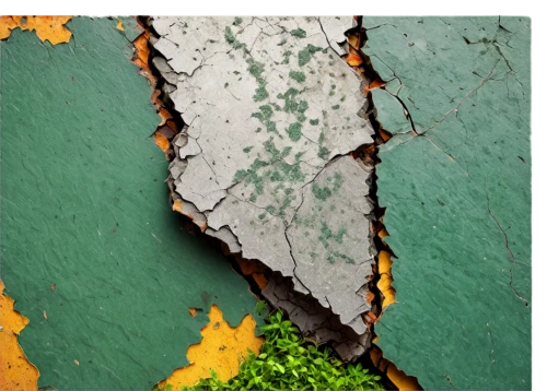 landsat,landcover,lichens,chlorophylls,metop,corroding,bioturbation,corrodes,watersheds,liquefaction,overpainted,gangrene,bioregions,green wallpaper,subsidence,oxidation,sedimentation,eutrophication,erosive,wall paint,Illustration,American Style,American Style 06