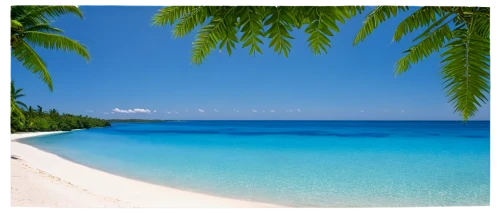 lakshadweep,maldive,maldive islands,mustique,dream beach,cook islands,caribbean sea,antilles,laccadive,tropical sea,maldives,fuvahmulah,tropical beach,atoll,caribbean beach,caribbean,heron island,paradise beach,savaii,the caribbean,Conceptual Art,Oil color,Oil Color 19