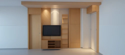 walk-in closet,storage cabinet,tv cabinet,cabinetry,cupboard,3d rendering,hallway space,armoire,wardrobes,dumbwaiter,modern room,search interior solutions,schrank,render,interior modern design,highboard,japanese-style room,3d render,associati,contemporary decor,Photography,General,Realistic