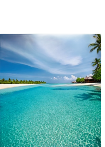 maldive,maldive islands,lakshadweep,cook islands,maldives,maldives mvr,atolls,laccadive,dream beach,french polynesia,atoll,fiji,micronesia,kurumba,fuvahmulah,tropical sea,saona,aitutaki,ocean paradise,maldivian,Art,Artistic Painting,Artistic Painting 21