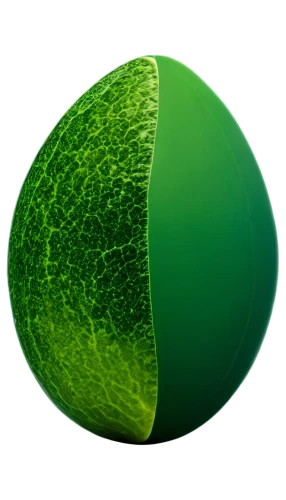 chloropaschia,chloroplasts,chloroplast,ellipsoid,stomata,chloro,green apple,chlorophyll,patrol,chlorophyta,green kiwi,green,chlorotic,chlorosis,photosynthetic,chloroprene,nephrite,xylem,coconut leaf,verde,Photography,Documentary Photography,Documentary Photography 30