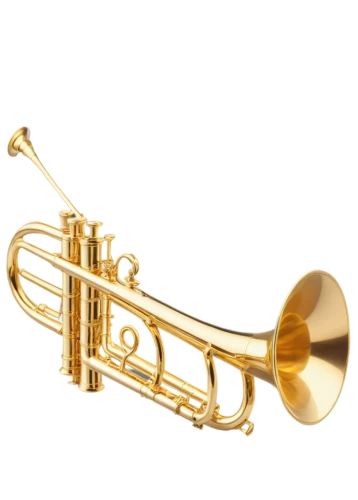 gold trumpet,instrument trumpet,trumpet gold,brass instrument,saxhorn,american climbing trumpet,trumpet shaped,flugelhorn,fanfare horn,trumpet,climbing trumpet,trumpet of jericho,trumpet valve,wind instrument,euphonium,tuba,saxophone,tenor saxophone,instrument,stallybrass,Conceptual Art,Daily,Daily 13