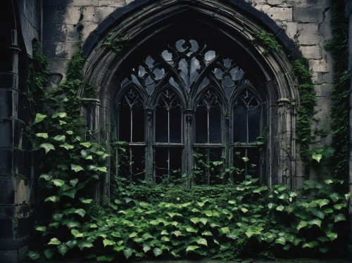ivy frame,haunted cathedral,background ivy,buttressed,verdant,buttresses,gothic style,buttressing,gothic,forest chapel,neogothic,window,doorways,gothic church,old window,cathedrals,buttress,front window,overgrown,church window,Conceptual Art,Graffiti Art,Graffiti Art 05