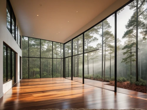 forest house,glass wall,house in the forest,snohetta,mirror house,daylighting,longleaf,sunroom,structural glass,glass panes,hardwood floors,hardwood,timber house,skylights,bohlin,landscape designers sydney,dunes house,pine forest,forested,glass roof,Illustration,Black and White,Black and White 21