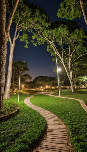 tree lined path,the park at night,royal botanic garden,ucsd,maunganui,pathway,pepperdine,parque estoril,stanford university,ucsb,walk in a park,walkway,ko olina resort,tree top path,tree lined,mona vale,night photography,presidio,hiking path,takapuna,Photography,General,Realistic