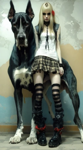 antwoord,girl with dog,street dogs,pitbulls,dog breed,pitty,combichrist,wretzky,barkdoll,animatrix,cyberdog,dog pure-breed,cyco,stray dogs,pet black,rasputina,female dog,topdog,shrilly,psychobilly,Conceptual Art,Daily,Daily 11