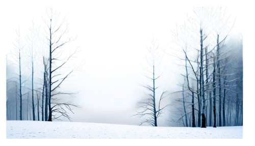 winter forest,winter background,snow trees,winter landscape,snow landscape,birch tree background,snowflake background,christmas snowy background,hoarfrost,snow scene,winterland,winter dream,snowy landscape,coniferous forest,fir forest,winterreise,winter magic,hiver,copses,vinter,Illustration,Vector,Vector 09