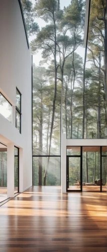 glass roof,forest house,dunes house,frame house,timber house,mirror house,roof landscape,folding roof,cubic house,structural glass,skylights,glass wall,douglas fir,house in the forest,associati,velux,daylighting,wooden roof,modern house,cantilevered,Art,Classical Oil Painting,Classical Oil Painting 16