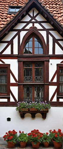 half-timbered house,timber framed building,half-timbered wall,timbered,half timbered,half-timbered houses,appenzell,kitzbuhel,wernigerode,swiss house,eguisheim,dürer house,kitzbuehel,tryavna,gstaad,traditional house,wooden facade,holthaus,rottweil,alsace,Conceptual Art,Daily,Daily 14
