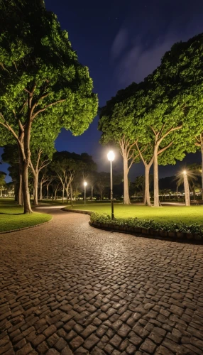 the park at night,tree lined path,tree lined avenue,tree-lined avenue,tree lined,urban park,diliman,esplanade,center park,palma trees,lafayette park,night photograph,royal botanic garden,city park,central park,tree lined lane,centennial park,night photography,park akanda,long exposure light,Photography,General,Realistic