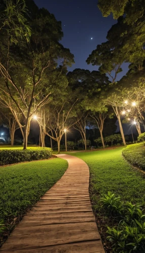 tree lined path,the park at night,royal botanic garden,tree lined avenue,pathway,tree-lined avenue,walkway,walk in a park,tree lined lane,night photograph,tree lined,night photography,long exposure light,light trail,urban park,forest path,biopolis,diliman,night shot,park akanda,Photography,General,Realistic