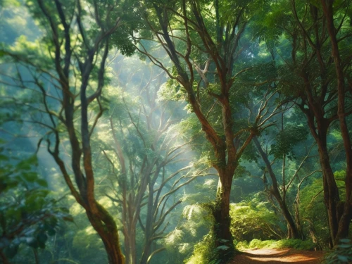 green forest,tropical forest,bamboo forest,forest landscape,forest background,verdant,rainforest,greenforest,fairy forest,elven forest,forest path,forest glade,rainforests,green landscape,green wallpaper,nature background,forest,forest of dreams,nature wallpaper,rain forest,Photography,General,Natural