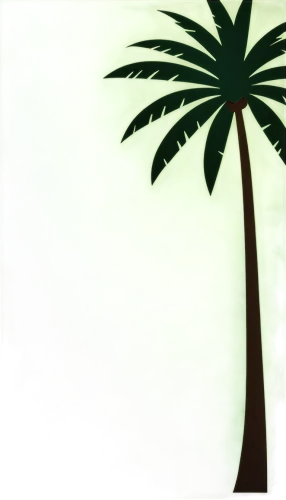 palm tree vector,palmtree,palm tree,palm tree silhouette,palm,coconut tree,cartoon palm,coconut palm tree,palm pasture,palm forest,palm leaves,palm leaf,tropical tree,palms,palmtrees,palm in palm,arecaceae,coconut palm,palmera,coconut palms,Unique,Paper Cuts,Paper Cuts 05