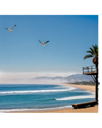 surfliner,canary islands,pismo beach,monterey,laguna beach,newport beach,carpinteria,huntington beach,baja california sur,garden route,plett,santa barbara,encinitas,scripps pier,trestles,beautiful beaches,la jolla,beach landscape,dream beach,dockweiler,Photography,Fashion Photography,Fashion Photography 15