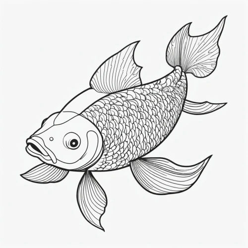 coloring pages,oreochromis,coloring page,coelacanth,damselfish,cichlid,chromis,fundulus,menhaden,ornamental fish,panoho,coloring pages kids,trigger fish,brocade carp,pargo,glassfish,seabream,leptocephalus,cardinalfish,fish,Illustration,Black and White,Black and White 04
