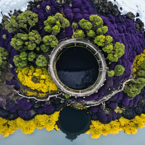 flower clock,wreath of flowers,flower wreath,stereographic,blooming wreath,crown chakra flower,floral wreath,flower frame,little planet,rose wreath,frame flora,door wreath,semi circle arch,wreath,harp with flowers,flowers frame,flower arrangement lying,terraformed,floral silhouette wreath,flora abstract scrolls,Illustration,Paper based,Paper Based 28