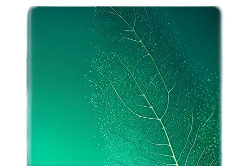 leaves case,green wallpaper,jolla,botanical frame,eucalyptus,microalgae,leaf green,spirulina,green aurora,fir green,green leaf,greenglass,nettled,verde,dendrite,oppo,blue leaf frame,chlorophyll,green tree,green electricity,Illustration,Retro,Retro 20