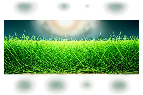 block of grass,grass golf ball,green grass,grass,grassy,grasslike,cordgrass,gras,golf course grass,mobile video game vector background,grassland,grass grasses,golf course background,sunburst background,brick grass,green lawn,green wallpaper,long grass,blade of grass,blades of grass,Illustration,Black and White,Black and White 21