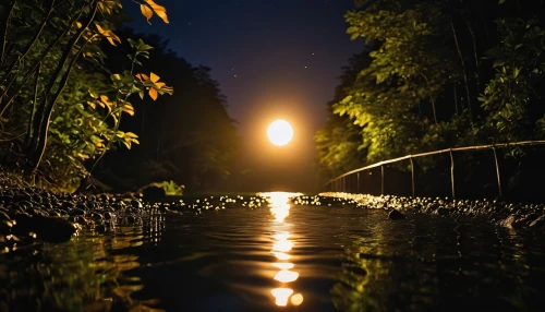 night photograph,flooded pathway,night image,night photography,towpath,moonlit night,clear stream,puddle,nightscape,water channel,pond,reflecting pool,waterway,nightlight,backwater,wooden bridge,nocturne,water reflection,reflection in water,evening lake,Photography,Artistic Photography,Artistic Photography 01