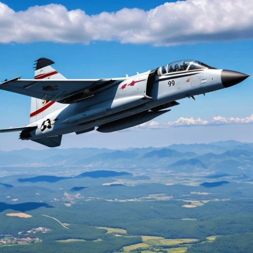 jasdf,northrop f-5e tiger,f a-18c,swiss air force,rocaf,air combat,military fighter jets,etendard,boeing f a-18 hornet,shinden,patrouille,thunderbirds,thunderjet,sukhoi,us air force,united states air force,eagle vector,skywarrior,gripens,skyhawk,Photography,General,Realistic