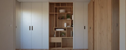 storage cabinet,cupboard,walk-in closet,cupboards,pantry,dumbwaiter,schrank,hallway space,cabinetry,highboard,garderobe,associati,shelving,wood casework,bookcase,armoire,cabinets,mudroom,anastassiades,bookcases,Photography,General,Realistic