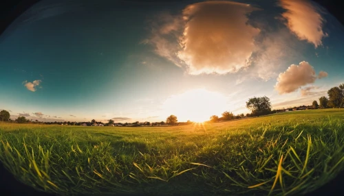 fisheye,photosphere,fish eye,360 ° panorama,panorama from the top of grass,vignetting,polarizers,grain field panorama,stereographic,meadow landscape,grassland,polarizer,pinhole,little planet,earth in focus,green grass,photo lens,lens flare,mirror in the meadow,grasslands,Photography,General,Cinematic