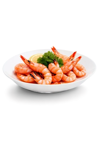 udang,freshwater prawns,pilselv shrimp,boiled shrimp,scampi,prawns,fried prawn,cooked frozen arctic sweet shrimp,prawns in tomato sauce,shrimps,river prawns,the best sweet shrimp,shrimpfood,shrimp salad,shrimp of louisiana,seafood in sour sauce,vegetable prawn salad,homarus,white saddle shrimp,shrimp risotto,Photography,Fashion Photography,Fashion Photography 05