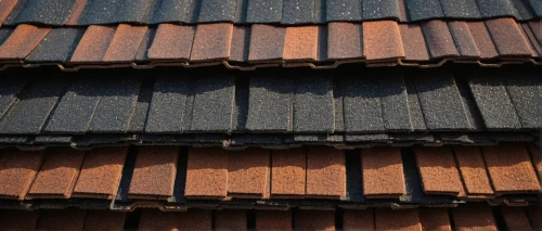 roof tiles,roof tile,tiled roof,slate roof,shingled,house roofs,rooflines,roofline,the old roof,roof panels,house roof,roofing,wooden roof,clay tile,thatch roof,shingles,roof landscape,chimneys,straw roofing,weatherboarded,Photography,General,Fantasy