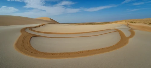 admer dune,crescent dunes,libyan desert,sand paths,sand dunes,sand waves,white sands dunes,dune landscape,sand dune,the sand dunes,moving dunes,namib,dunes,namib desert,sand road,dune sea,shifting dunes,shifting dune,deserto,sandplain,Photography,General,Realistic