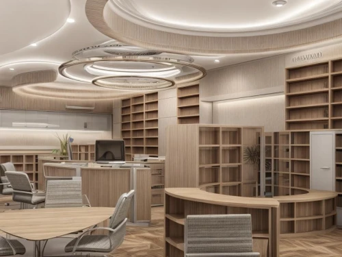 search interior solutions,reading room,bibliotheca,bookshelves,library,bibliotheque,modern office,study room,digitization of library,longaberger,bookcases,3d rendering,periplus,book store,ufo interior,celsus library,bookstore,interior modern design,carrels,bibliothek,Common,Common,Natural