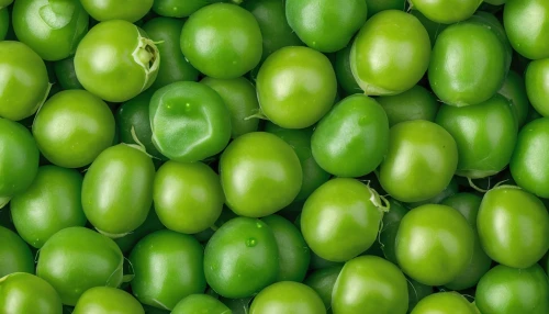 serrano peppers,pea,patrol,jalapenos,greed,green,cucurbitaceae,green paprika,peas,green bell peppers,jalapeno,green pepper,cornichons,green tomatoe,green soybeans,pimentos,anaheim peppers,aaa,gherardesca,pimientos,Photography,General,Natural