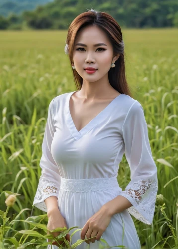 vietnamese woman,vietnamese,miss vietnam,laotian,kaew chao chom,huong,nghi,farm background,nghe,xuyen,anh,vietnam vnd,nguyen,oanh,phyu,chenla,phuquy,the rice field,rice field,vietnamese tet,Photography,General,Realistic